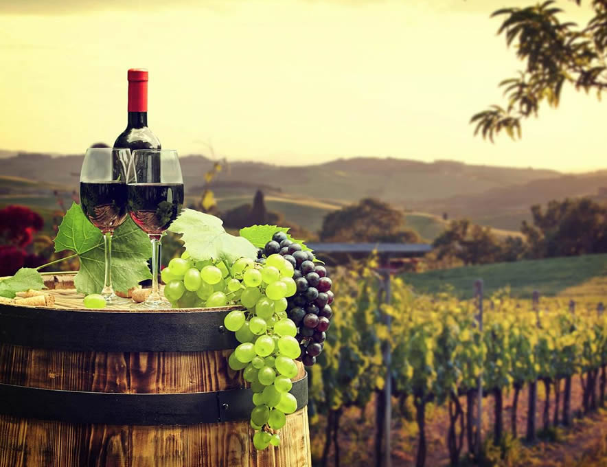 1ST CLASSIC Wine Tour