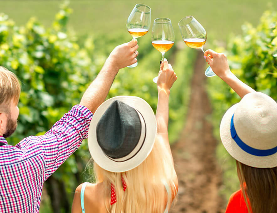 1ST CLASSIC Wine Tour